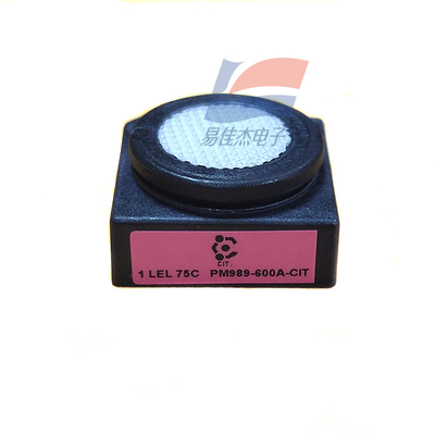 PM989-600A-CIT 1LEL 75C ক্যাটালিটিক অক্সিডেশন জ্বলনযোগ্য গ্যাস সেন্সর